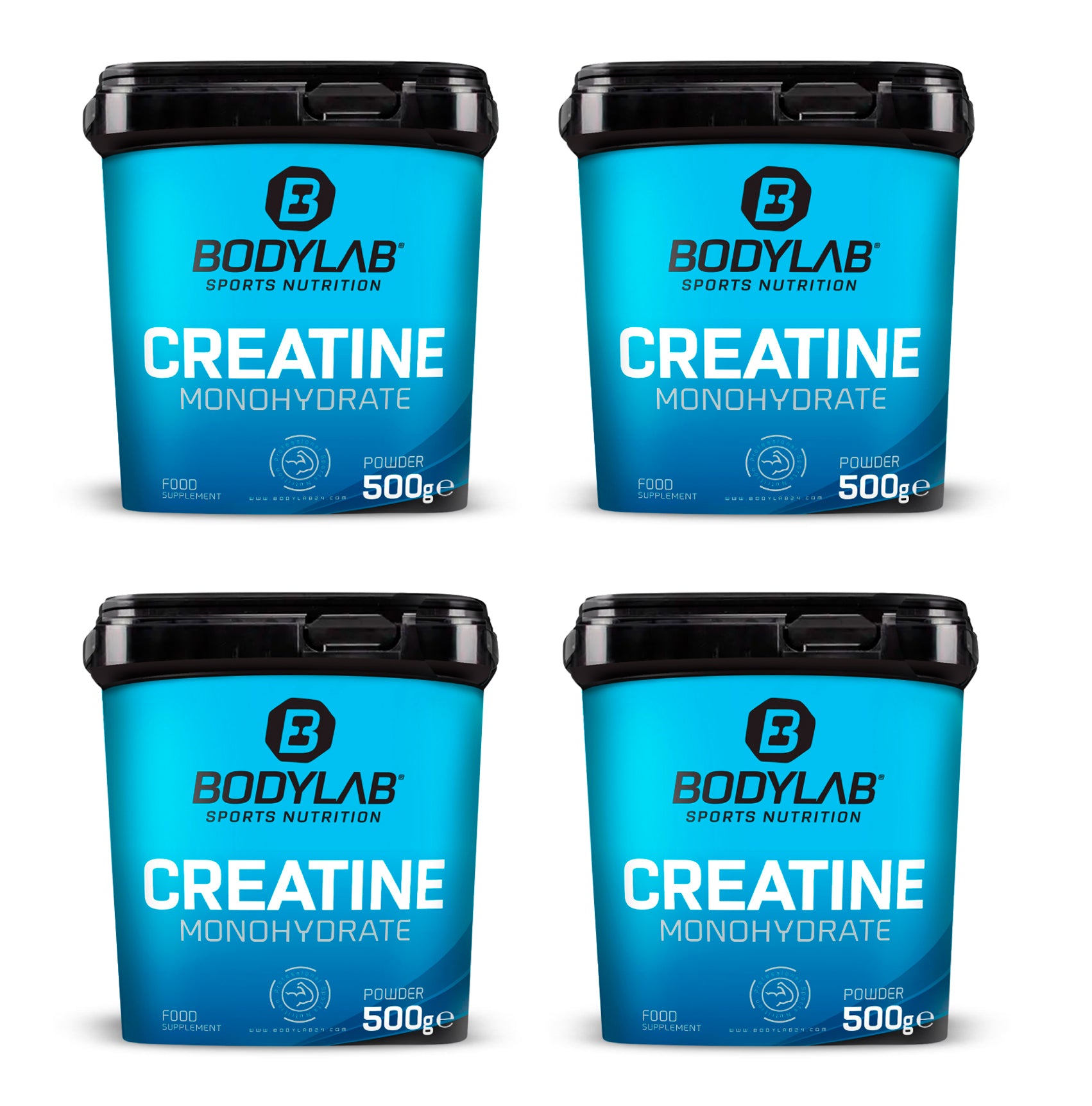 4 x Creatine Powder (500g)