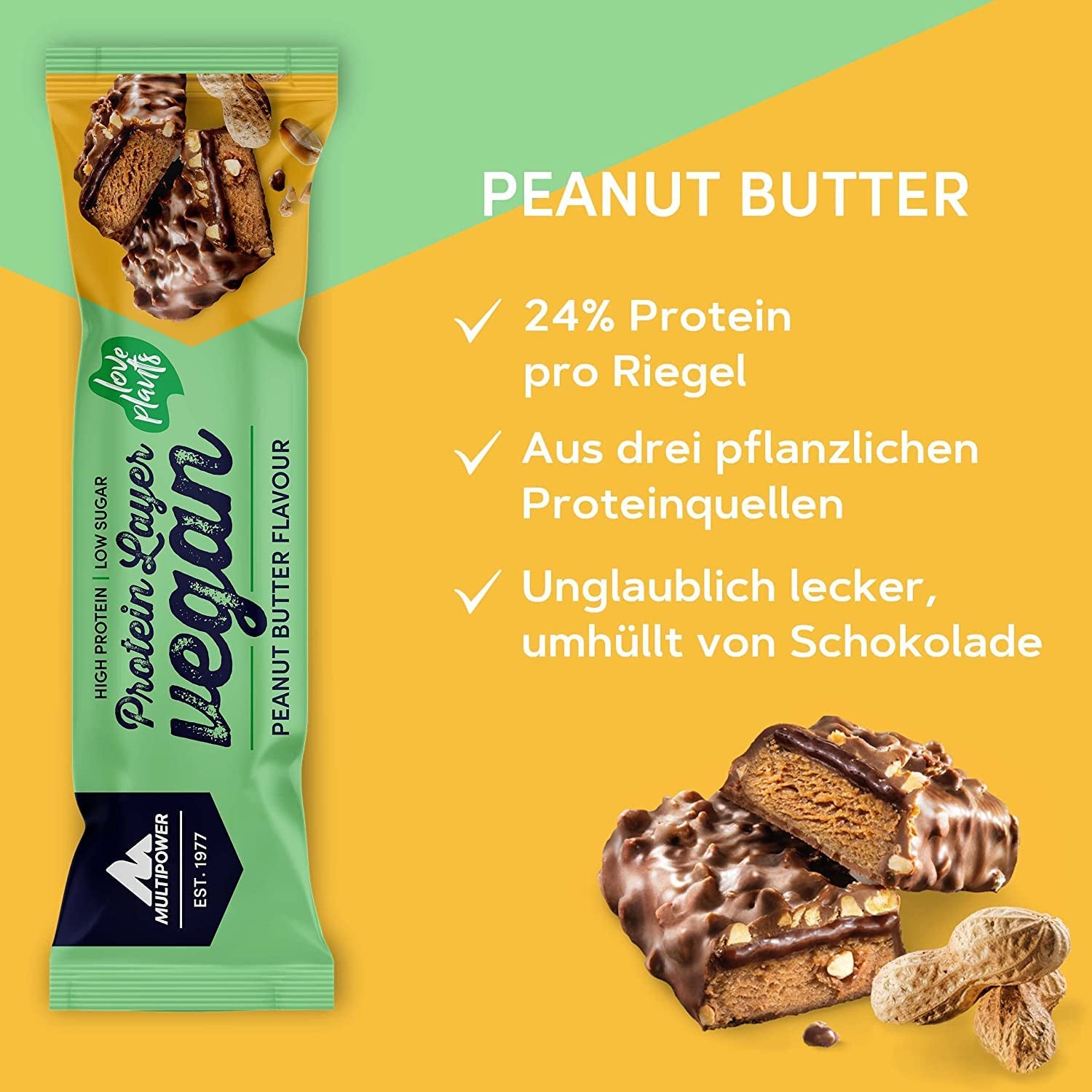 Vegan Protein Layer (15x55g)