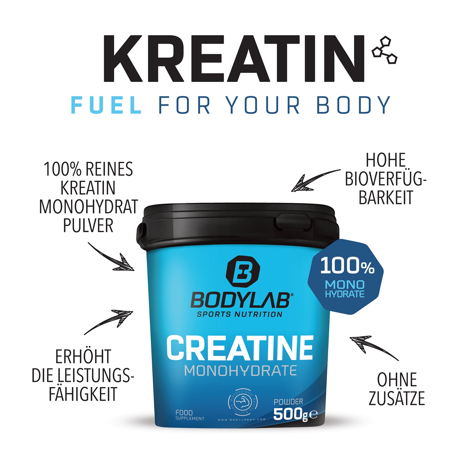 Creatine Powder (500g)